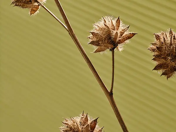 Raamdecoratie met ritme 1